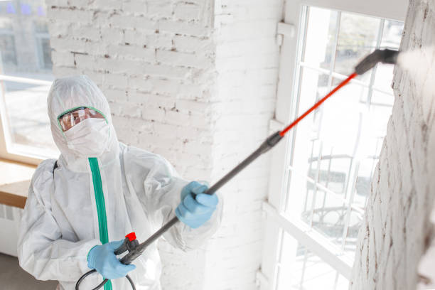 Best Indoor Air Quality Assessment  in Salida Del Sol Estates, TX