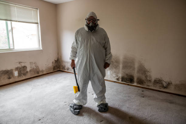 Best Asbestos and Lead Testing During Mold Inspection  in Salida Del Sol Estates, TX